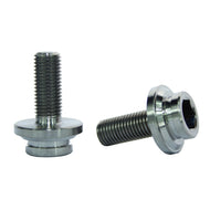 ANSWER Mini Crank Bolts TITANIUM